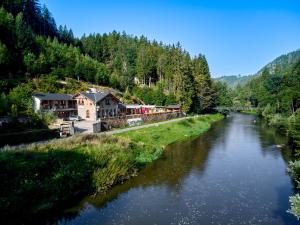 un treno che percorre un fiume vicino a una foresta di Apartmány Svatošské skály a Loket