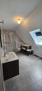a bathroom with a sink and a shower and a toilet at Corps de ferme traditionnel in Lembach