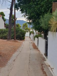 eine unbefestigte Straße mit einem weißen Zaun und Bäumen in der Unterkunft Poros Maisonette Apartment - Neorio in Poros