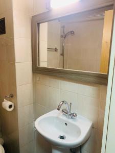 a bathroom with a sink and a mirror at Hotel Lily in London