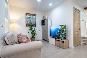 sala de estar con sofá y TV de pantalla plana en Central luxury flat with free parking, en Valencia