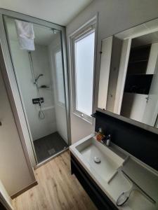 a bathroom with a sink and a shower and a mirror at Ferienpark Auf dem Simpel - Heide-Lodge 3 in Soltau