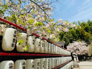 a row of white vases on a shelf withakura trees at Kyoto - House - Vacation STAY 13904 in Kyoto