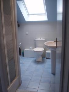a bathroom with a toilet and a sink and a skylight at Chambres D'Hôtes De Froulay in Couesmes-vauce