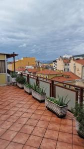 a balcony with a bunch of potted plants on it at Hotel Milano in Trieste