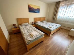Cette chambre comprend 2 lits et une fenêtre. dans l'établissement Top Lodge twobedroom apartment, à Bansko
