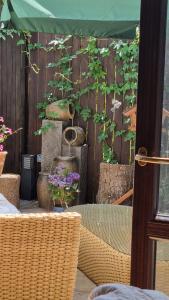 a garden with a wooden fence with a plant at Emerald Spa Guest house in Krakow