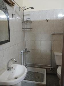 La salle de bains est pourvue d'un lavabo, de toilettes et d'une douche. dans l'établissement New Palace Hotel, au Caire