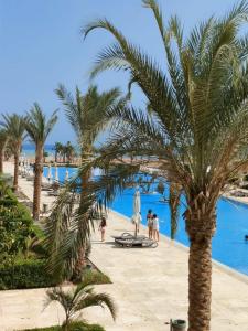 a palm tree next to a pool at a resort at Mangroovy Gouna 1 BR apartment in Hurghada