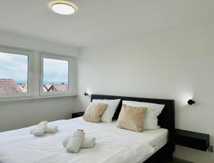 ein Schlafzimmer mit einem Bett mit zwei Kissen darauf in der Unterkunft Bergblick-Apartment IStayUnixI Seenähe-Workspace-Netflix I KEINE Monteure in Friedrichshafen