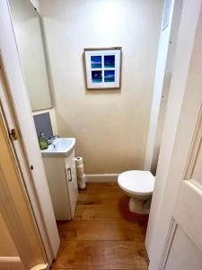 uma casa de banho com um WC e um lavatório em Beautiful Spacious Ground Floor Newington flat em Edinburgo