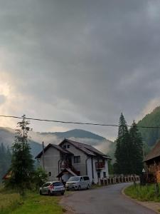 a house with cars parked on the side of a road at Cabana Acasă la Delia in Gîrda de Sus