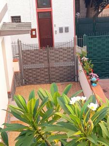 Giardino di La comodità a due passi dal mare di Mondello