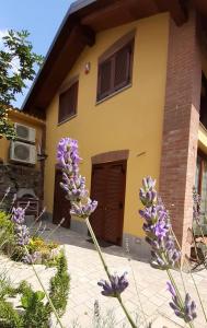 een huis met paarse bloemen ervoor bij CASA LAVANDA in Rivoli