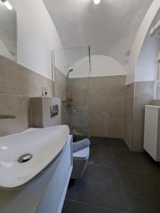 uma casa de banho com um lavatório branco e um WC. em Fantabulous Upper-Town Condo em Zagreb