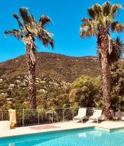 a swimming pool with two palm trees and two chairs at Villa Hirondelles 35 in Cavalaire-sur-Mer