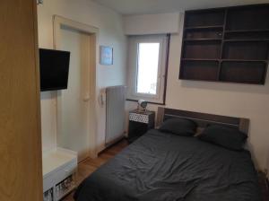 TV a/nebo společenská místnost v ubytování Petit paradis cocooning avec balcon à Torgon