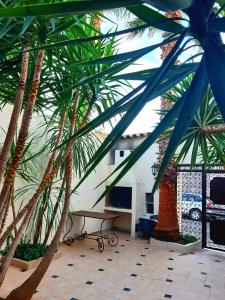 a room with palm trees and a table and a building at L'Olivier - Centre village - Au calme in Bessan
