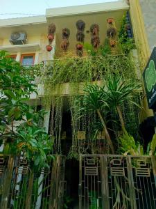 a building with plants on the side of it at ChiGhaya Guest House in Lawean