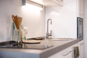 a kitchen counter with a sink and a sink at Smart Living Dornbirn in Dornbirn