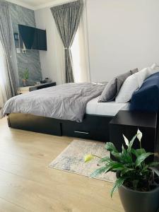 a bedroom with a bed and a potted plant at Private Deluxe Bedroom with Backup Power in Johannesburg