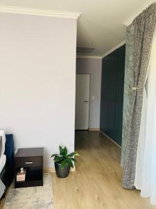 een woonkamer met een potplant en een hal bij Private Deluxe Bedroom with Backup Power in Johannesburg