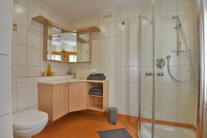 a bathroom with a shower and a toilet and a sink at Ferienhaus Chalet zur Werraquelle in Masserberg +11 photos