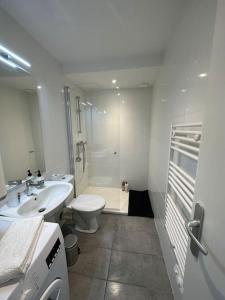 a white bathroom with a toilet and a sink at Appartement JAZZ Vienne nord in Vienne