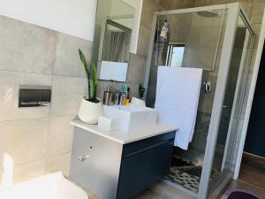 een badkamer met een wastafel en een douche met een spiegel bij Private Deluxe Bedroom with Backup Power in Johannesburg