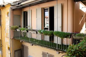 un balcón de apartamento con macetas. en Amore, Tutto Tempo Perso en Turín
