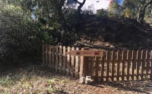 Fotografie z fotogalerie ubytování FINCA LA TEJONERA v destinaci Santa Ana la Real