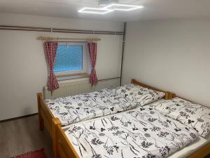 een slaapkamer met een bed en een raam bij Apartmán U Čechů in Albrechtice v Jizerských horách