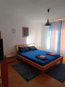 a bedroom with a bed with blue sheets and a tv at Vila Jovana A in Rogljevo