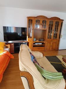 a living room with a couch and a tv at Vila Jovana A in Rogljevo