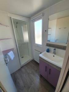 La salle de bains est pourvue d'un lavabo et d'une douche. dans l'établissement Ferienpark Auf dem Simpel - Mobilheim 2, à Soltau