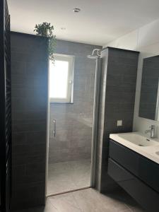 a bathroom with a shower and a sink at Casa Xabia in Zaandam