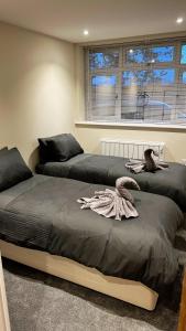 dwa łóżka siedzące obok siebie w sypialni w obiekcie Abbey House w mieście Horsham