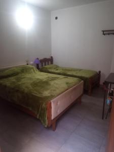 dwa łóżka w pokoju z zieloną pościelą w obiekcie Hostal Tía Dora w mieście San Salvador de Jujuy