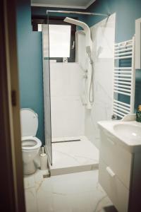 a bathroom with a shower and a toilet and a sink at Apartament Ploiesti Central in Ploieşti