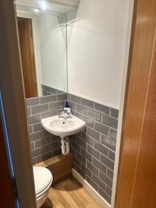bagno con lavandino e servizi igienici di Specious apartment In Canning Town ( London ) a Londra