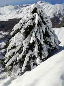 Το Rifugio Vieux Crest τον χειμώνα