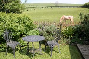 a table and chairs and a horse in a field at The Nest - Thatched seaside country cottage for two in Stokeinteignhead