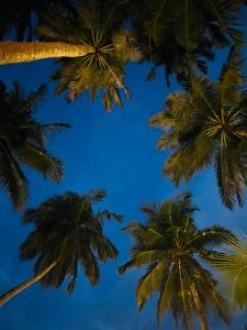 Fotografie z fotogalerie ubytování Esperanza Beach Mawella v Tangalle