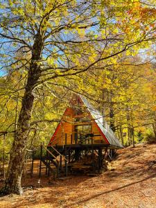 a small cabin in the woods with a tree at Casa del Árbol - Malalcahuello in Malalcahuello