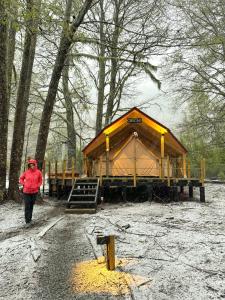 una persona che cammina di fronte a una tenda nel bosco di Casa del Árbol - Glamping a Malalcahuello