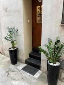 two potted plants sitting in front of a door at apartament la cova in Peralada
