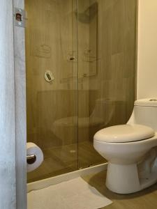 La salle de bains est pourvue de toilettes et d'une douche en verre. dans l'établissement Apartamento Chic en el corazón de Bogotá, à Bogotá