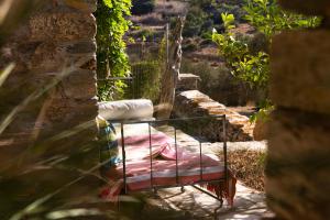 Κήπος έξω από το Under The Linden Tree Tinos