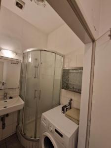 ein Bad mit einer Dusche und einer Waschmaschine in der Unterkunft Apartments Diana-contactless check-in! in Wien