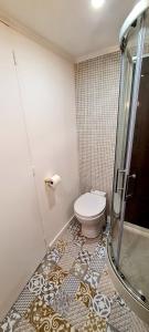 een badkamer met een toilet en een douche bij Le studio de Louise, hyper centre in Landerneau
